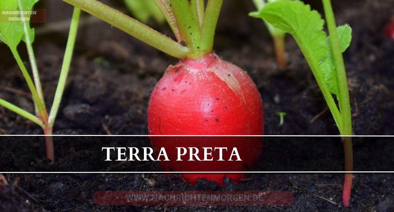 terra preta