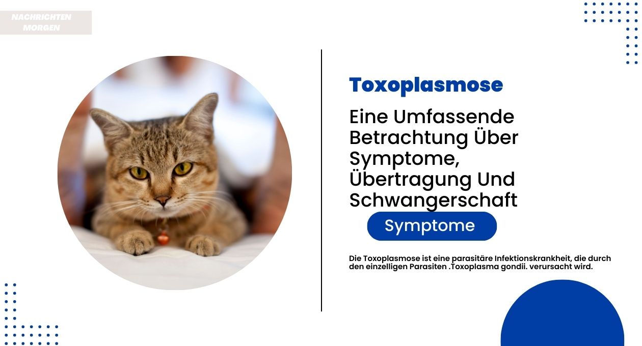 toxoplasmose