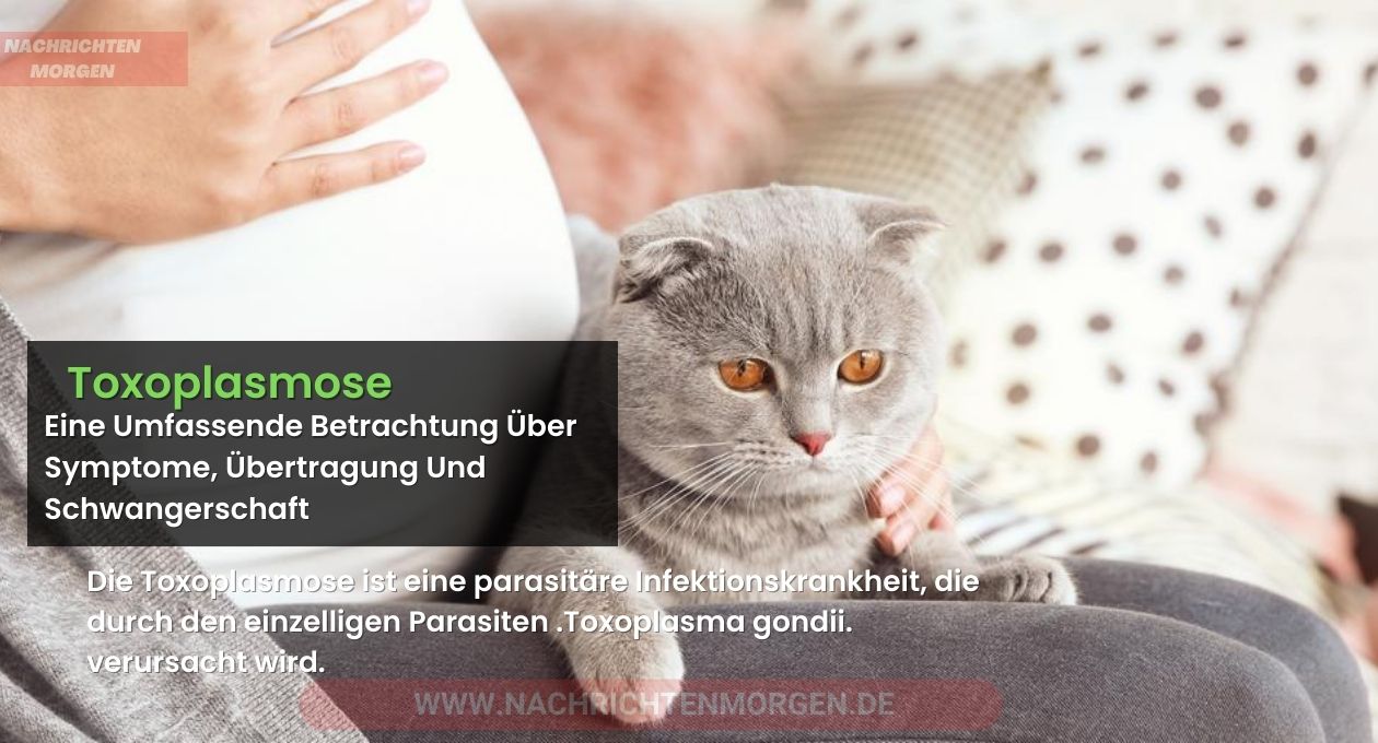 toxoplasmose