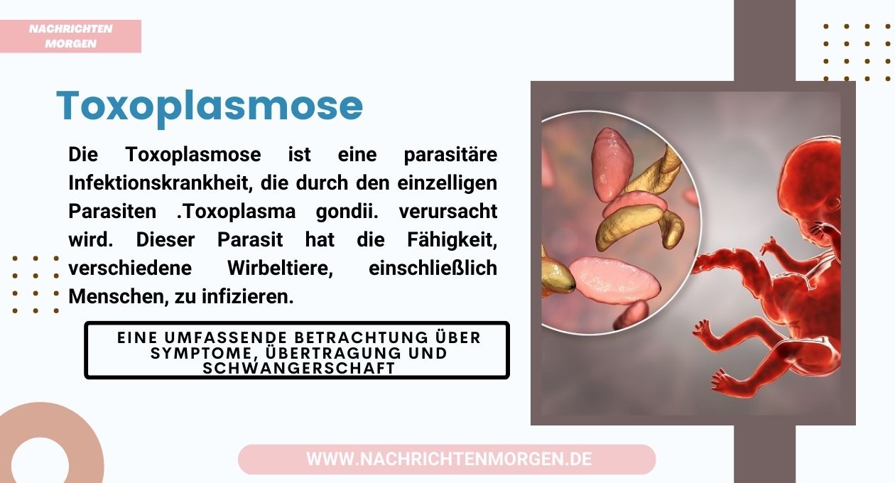 toxoplasmose