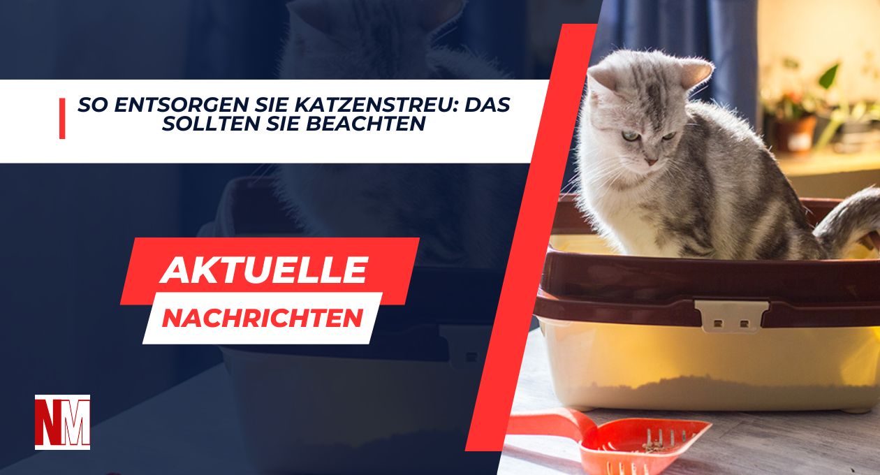 Katzenstreu