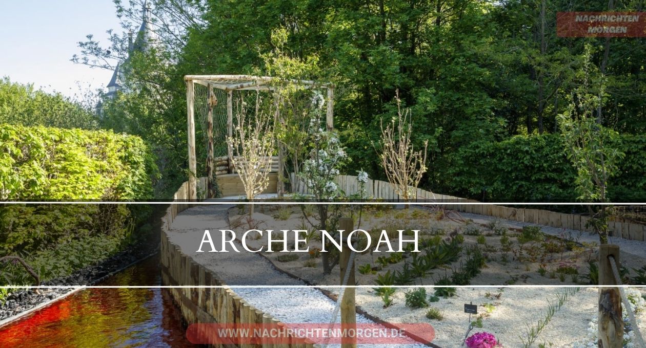 arche noah