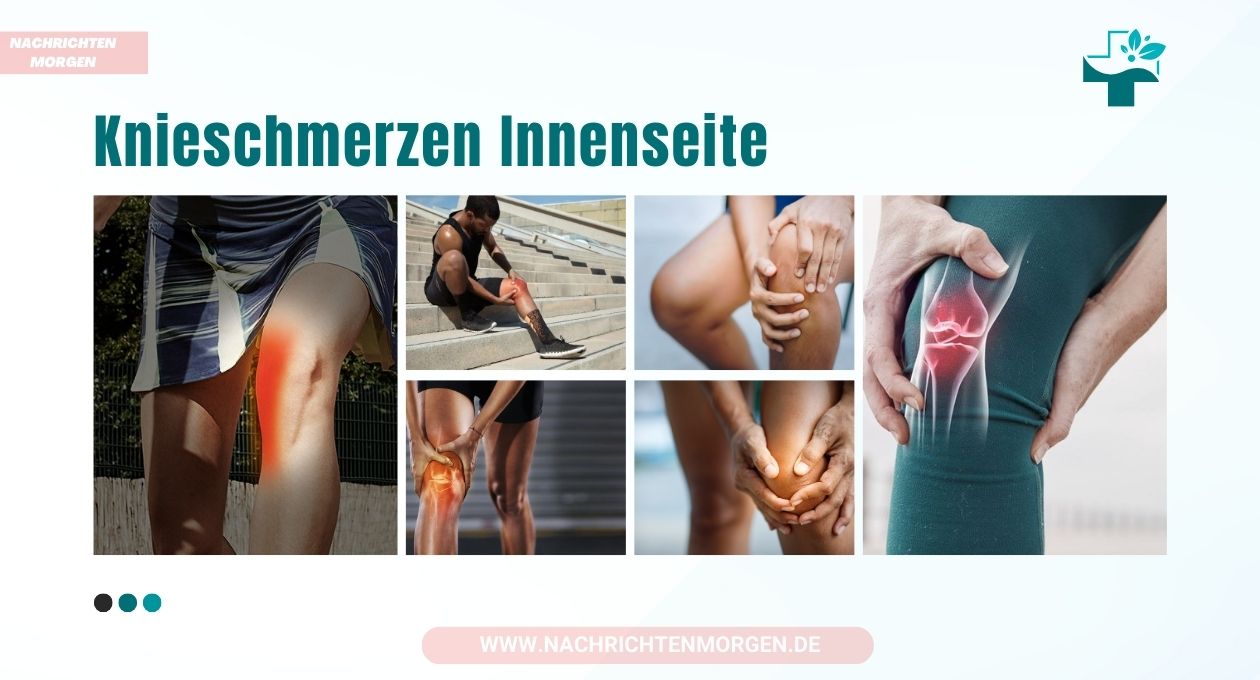 knieschmerzen innenseite