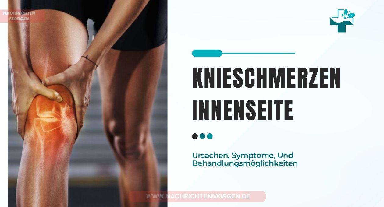 knieschmerzen innenseite