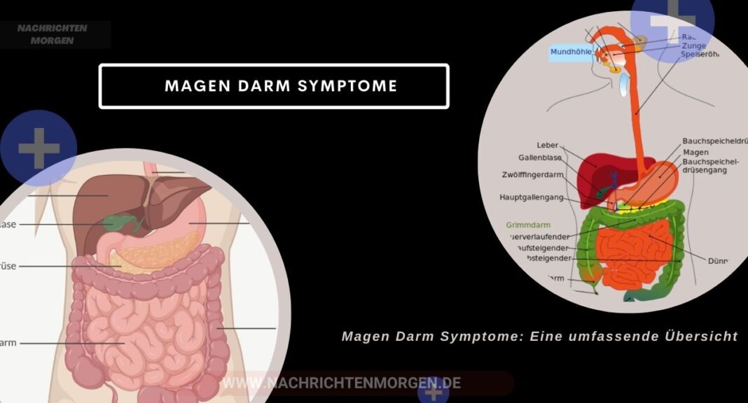 Magen Darm Symptome Eine umfassende Übersicht