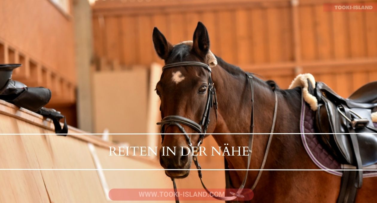 reiten in der nähe