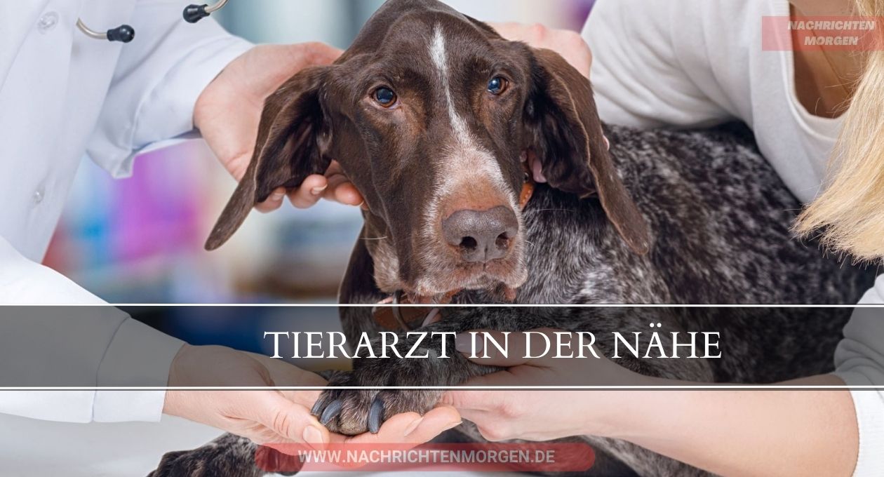 tierarzt in der nähe