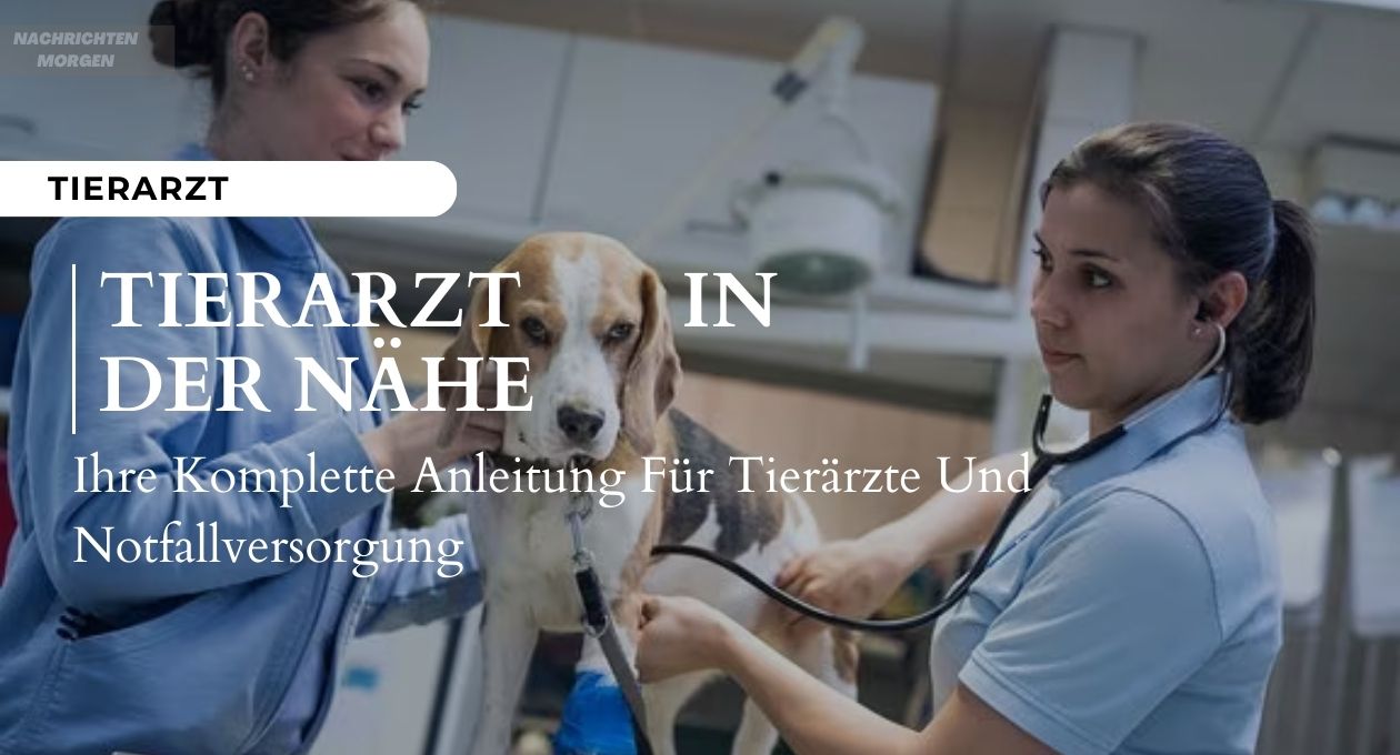 tierarzt in der nähe