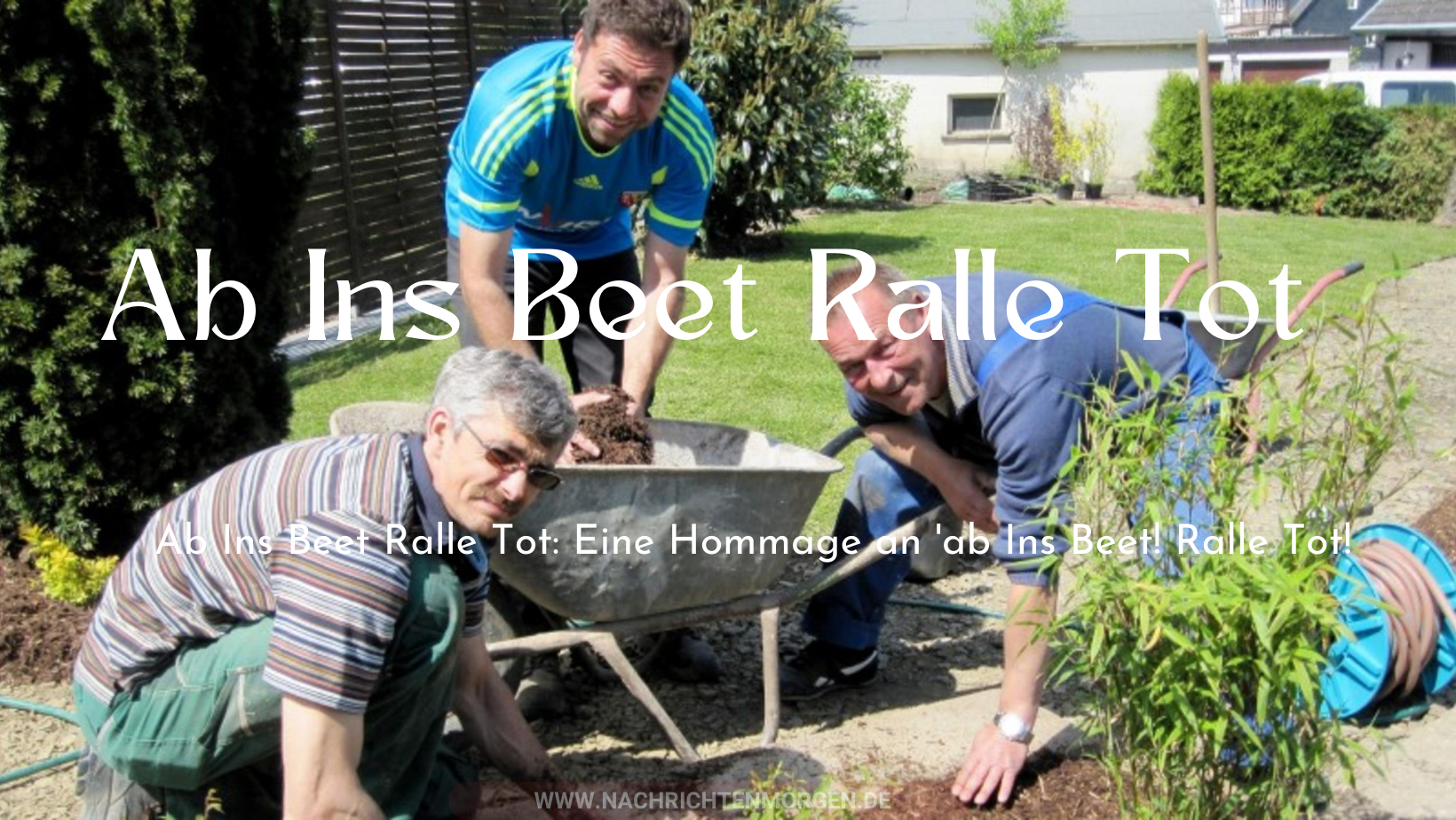 ab ins beet ralle tot