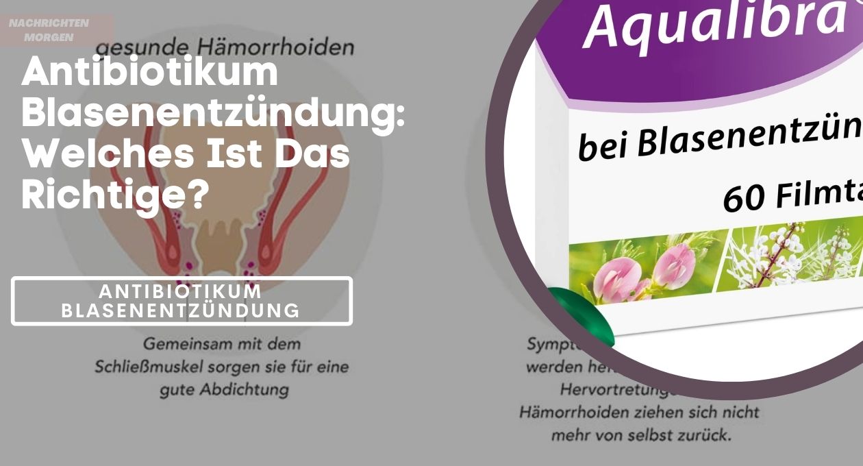 antibiotikum blasenentzündung