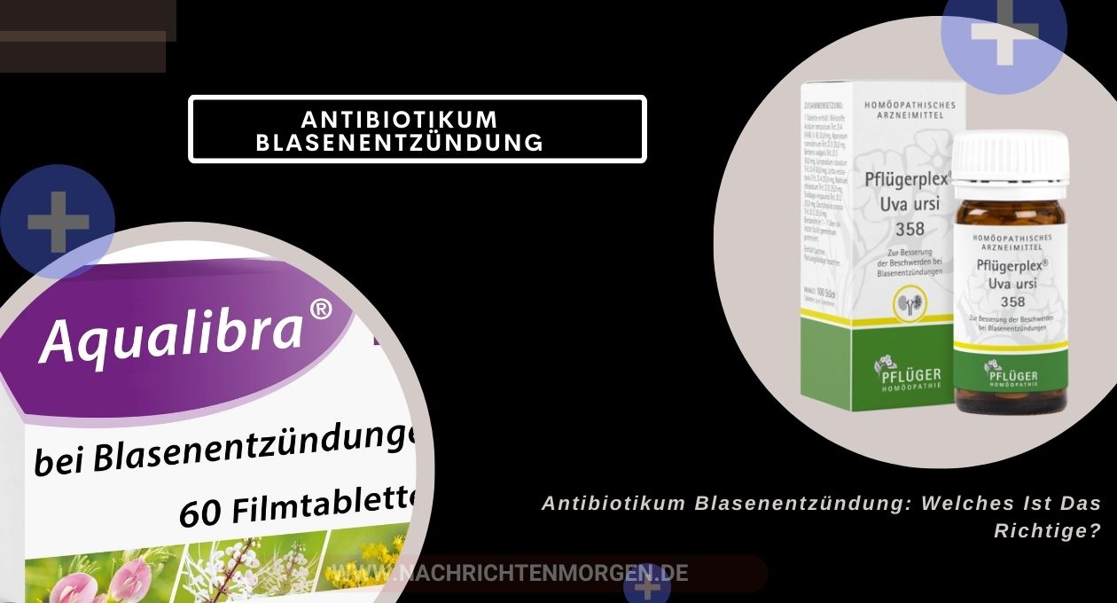 antibiotikum blasenentzündung