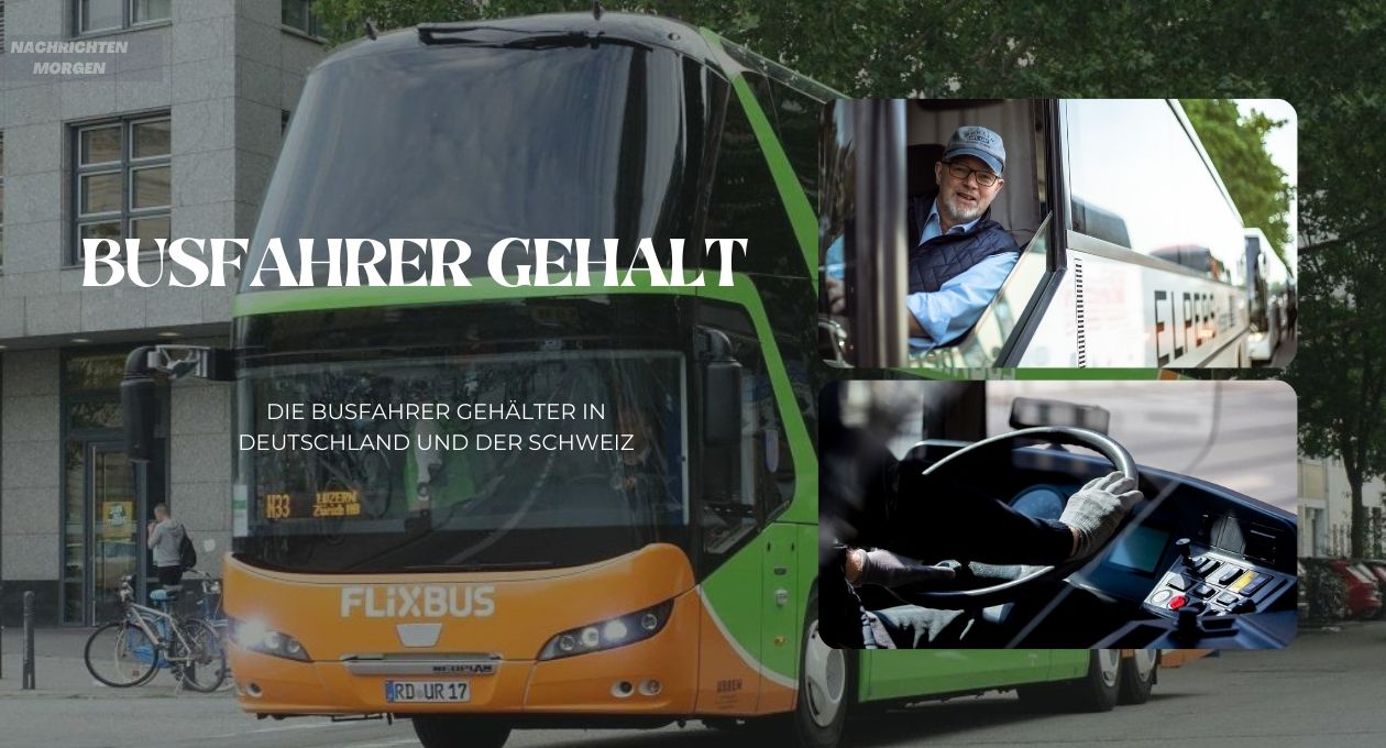 busfahrer gehalt