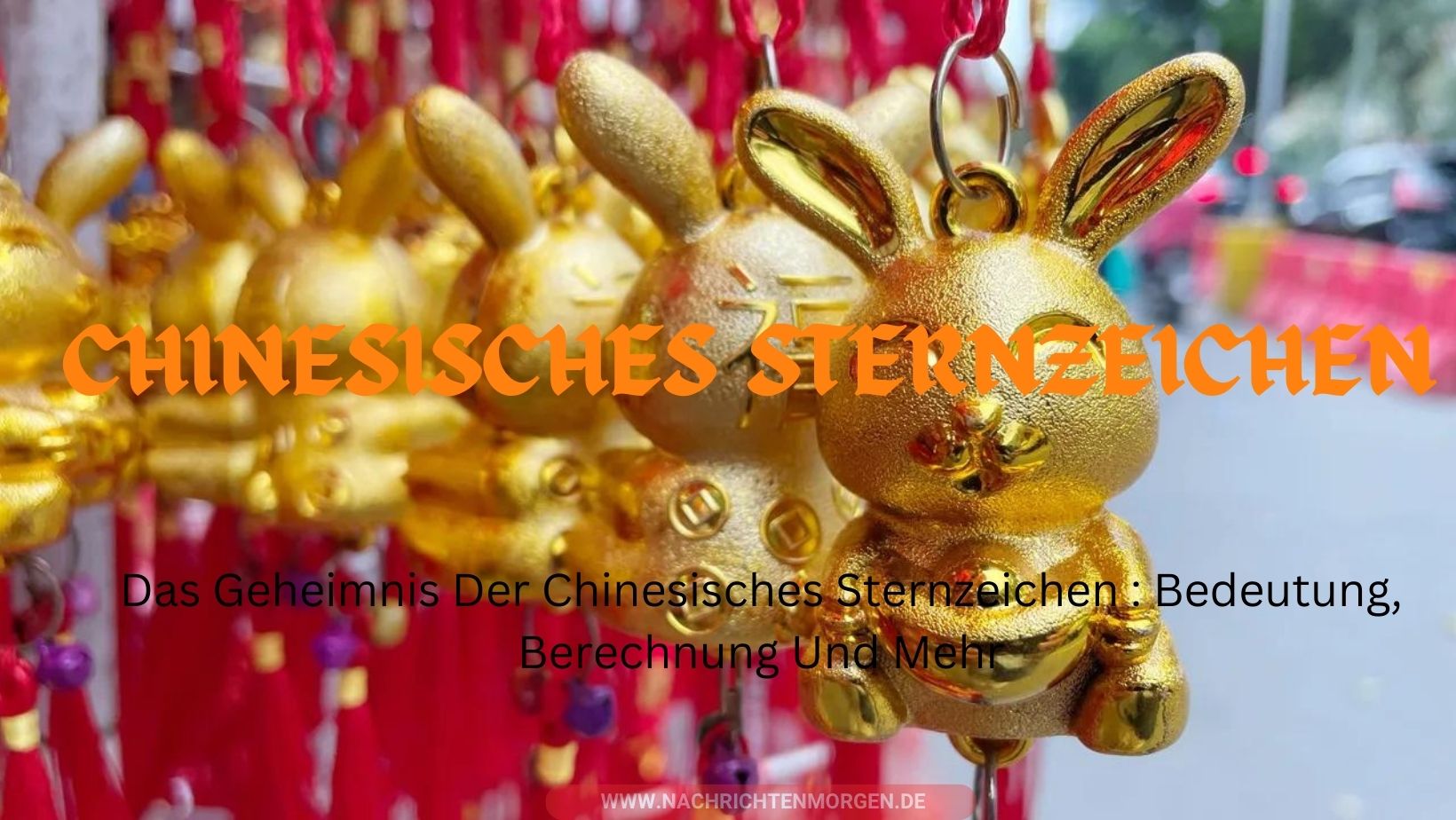 chinesisches sternzeichen