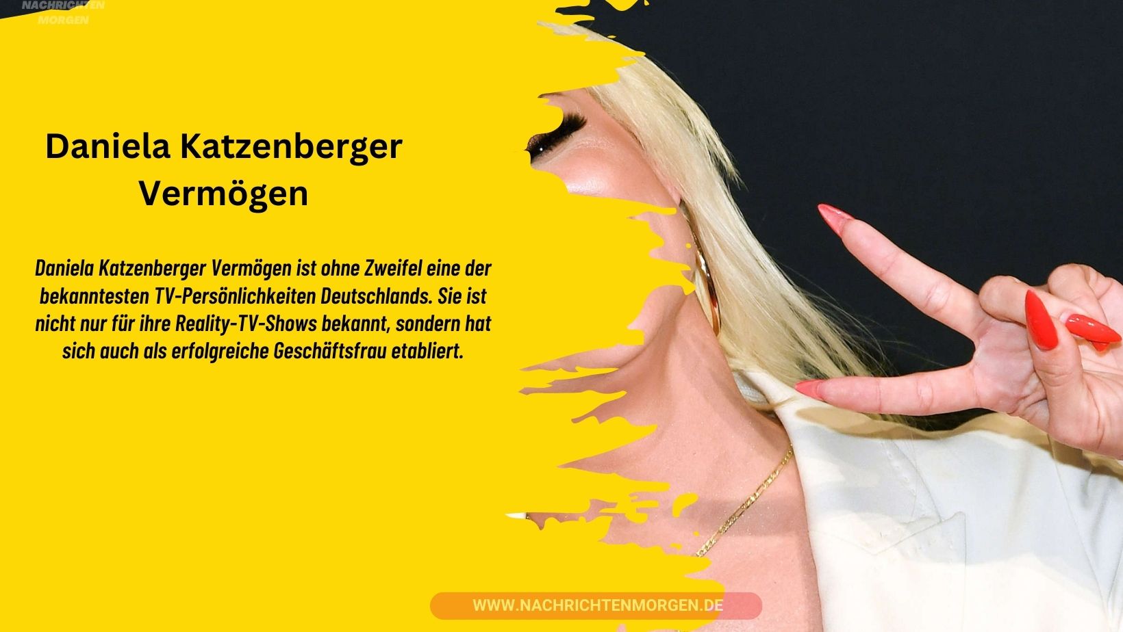 daniela katzenberger vermögen