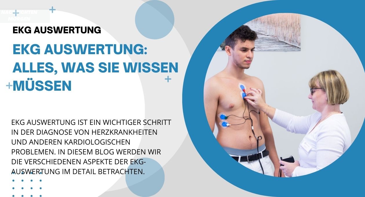 ekg auswertung