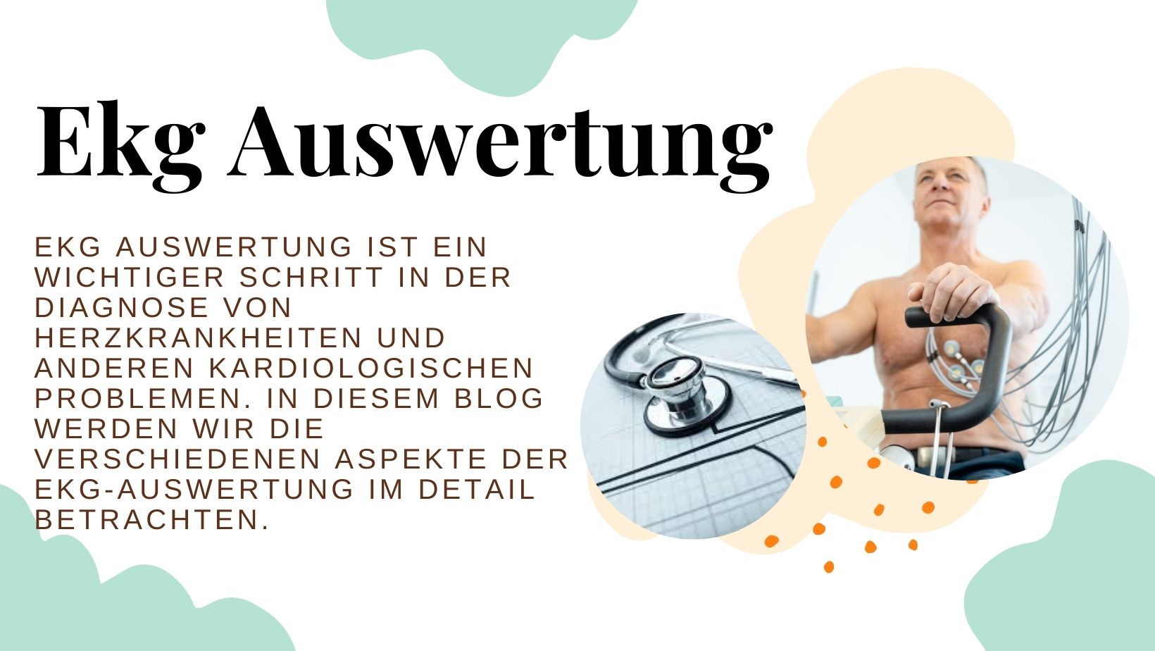 ekg auswertung