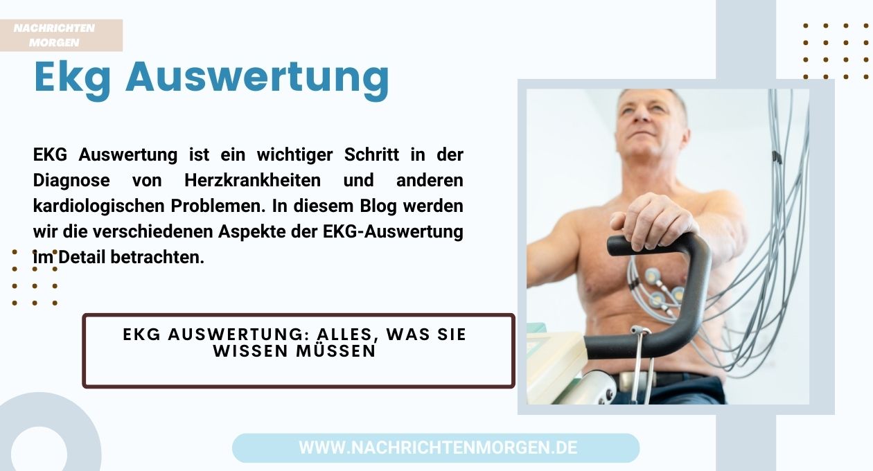 ekg auswertung