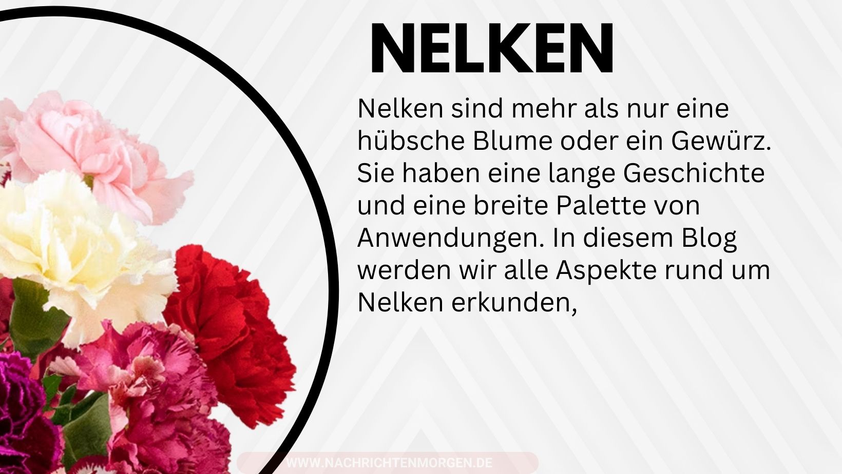 nelken