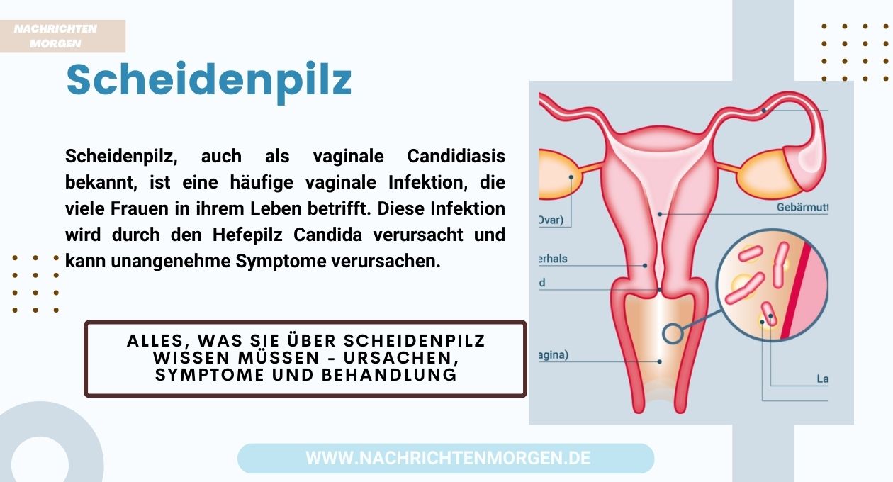 scheidenpilz