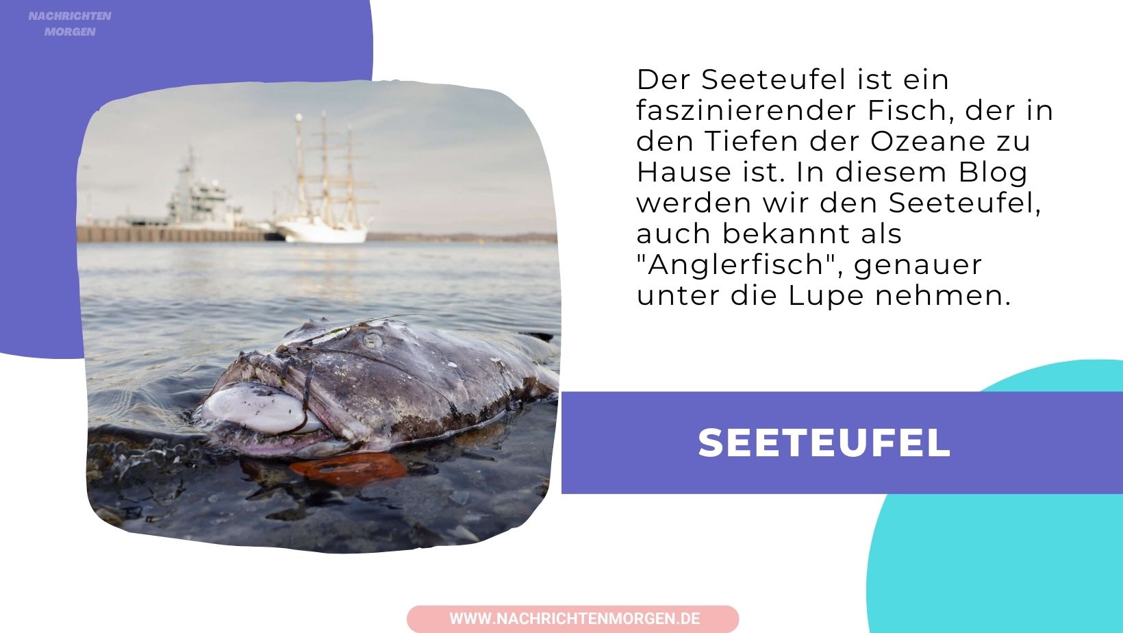 seeteufel