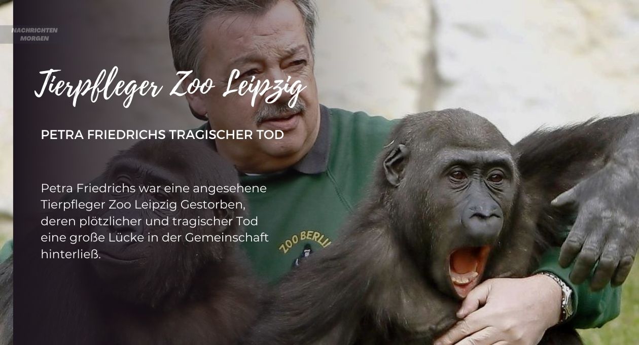 Tierpfleger Zoo Leipzig Gestorben Petra Friedrichs Tragischer Tod