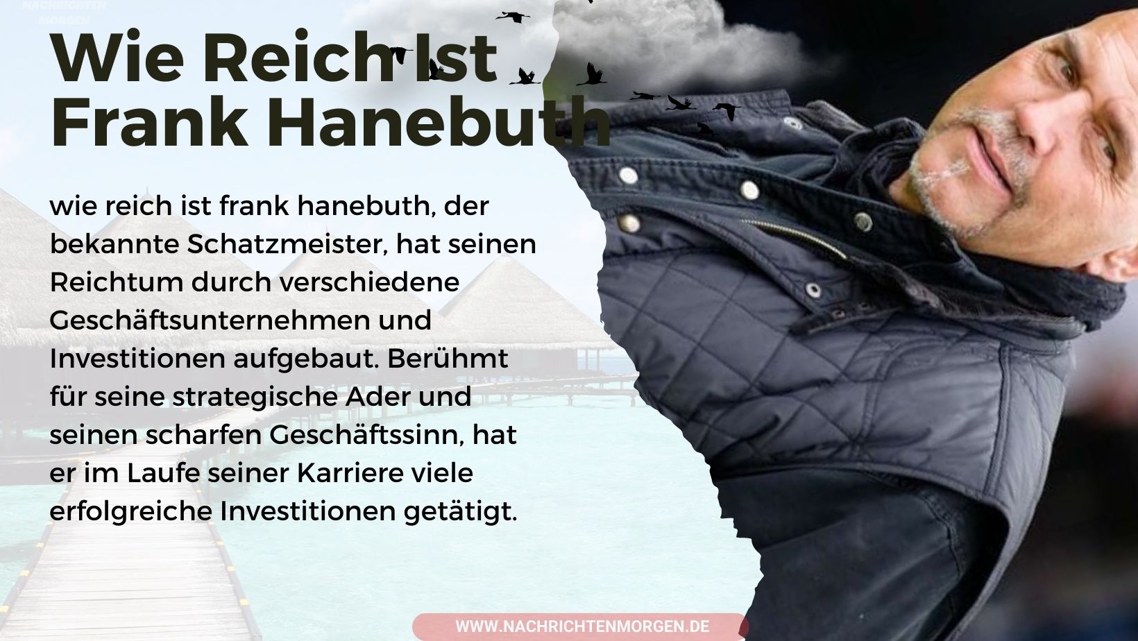 wie reich ist frank hanebuth