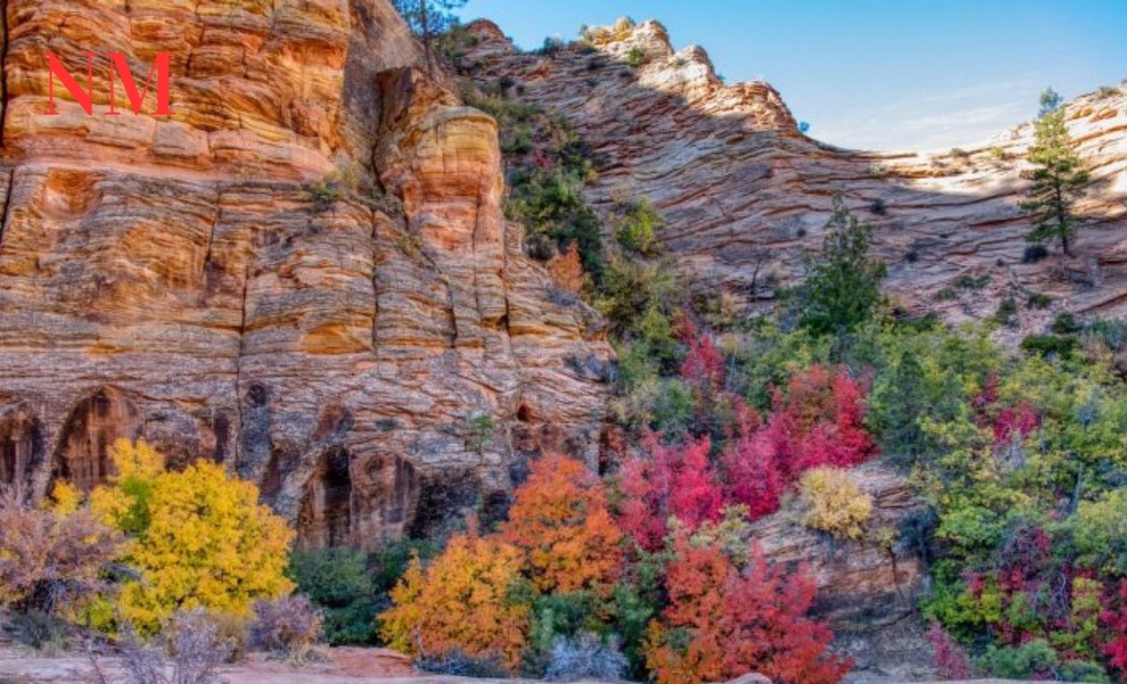Zion Nationalpark: Ein Juwel in Utahs Kronjuwelen