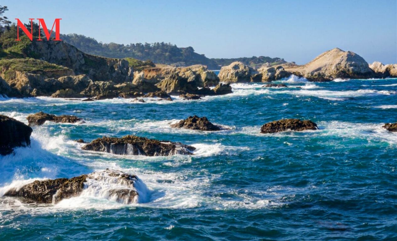 Der Zauber von Point Lobos: Ein Juwel Kaliforniens südlich von Carmel-by-the-Sea