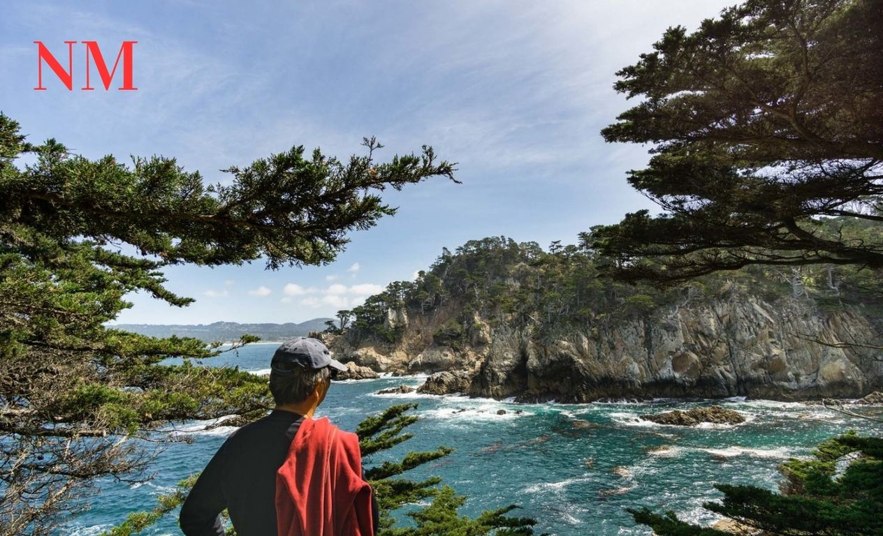 Der Zauber von Point Lobos: Ein Juwel Kaliforniens südlich von Carmel-by-the-Sea