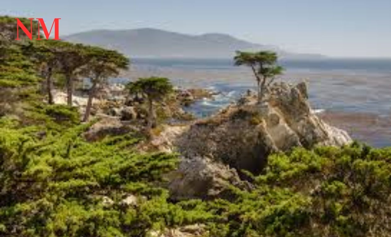 Entdecken Sie die Wunder des 17-Mile Drive: Ein Paradies in Monterey