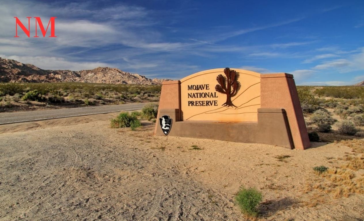 Entdecken Sie die Schönheit der Mojave National Preserve: Wandern und Camping in Kaliforniens verstecktem Juwel