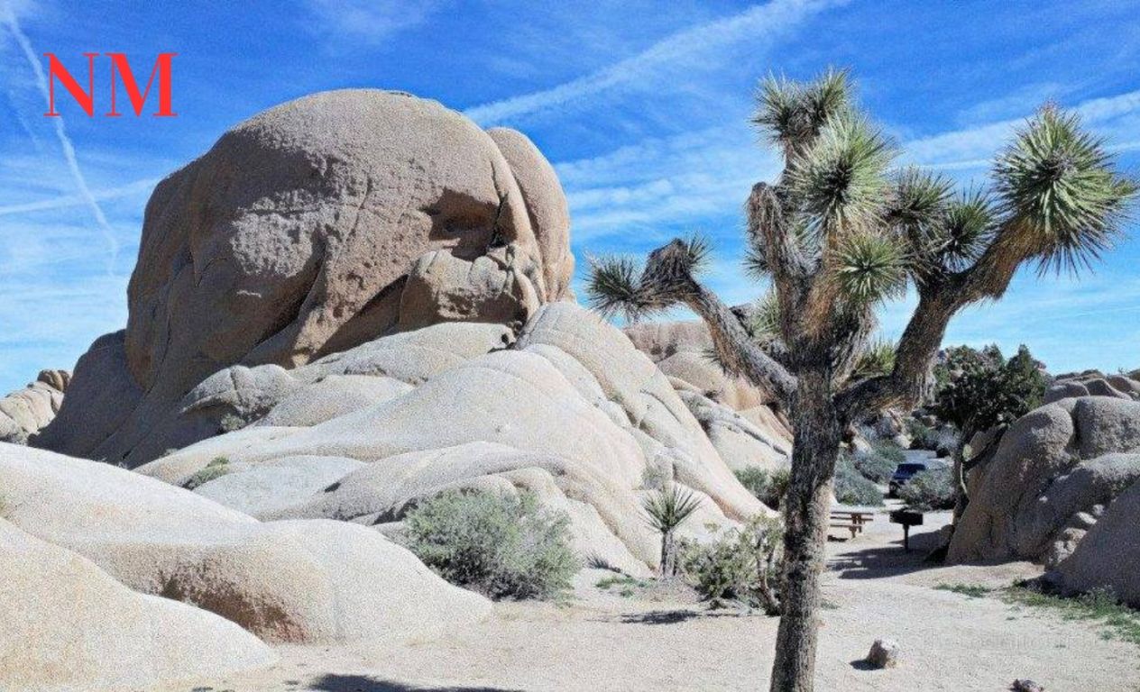 Der Zauber des Joshua Tree Nationalparks: Ein Wüstenjuwel in Kalifornien