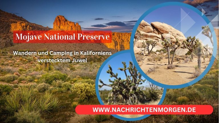 Entdecken Sie die Schönheit der Mojave National Preserve: Wandern und Camping in Kaliforniens verstecktem Juwel