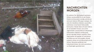 Huhn Gerissen Welches Tier Ursachen und Schutzmaßnahmen