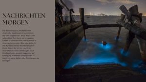 Biolumineszenz Nordsee Ein faszinierendes Naturphänomen an der Küste (1)