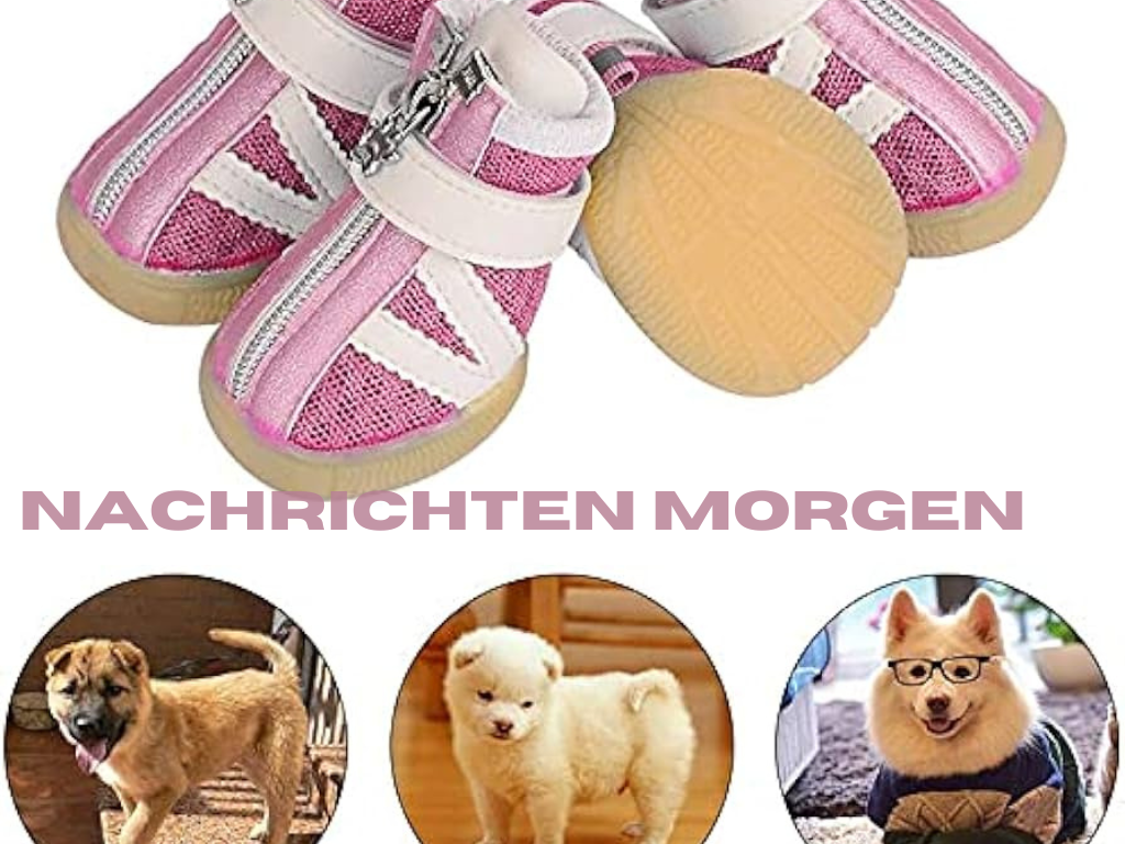 Haltbar und stilvoll Die besten Hundeschuhe für aktive Hunde